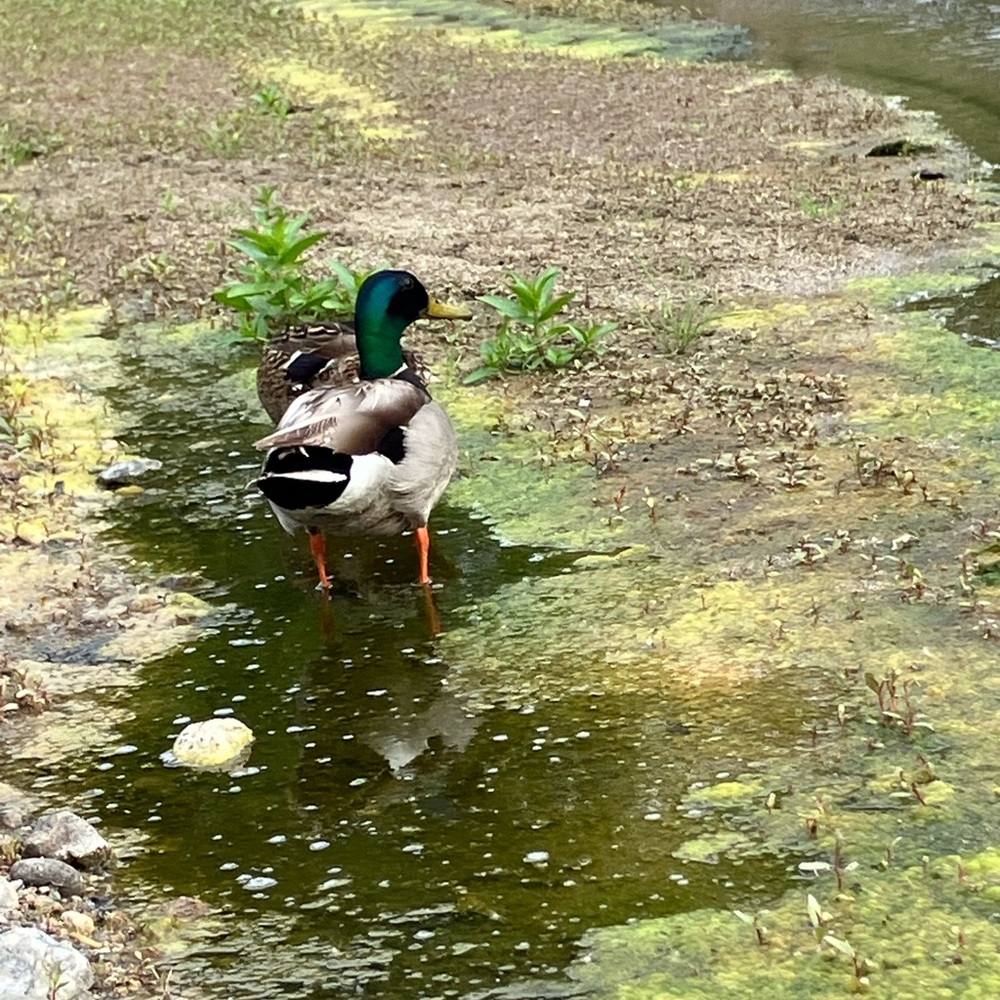 Hello there! - Picture 5 of 11